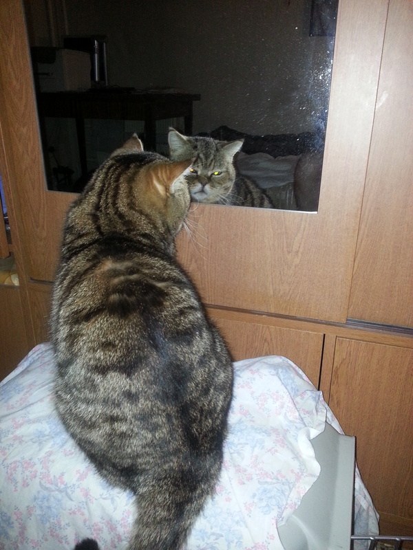 ���-�-�� ���?!