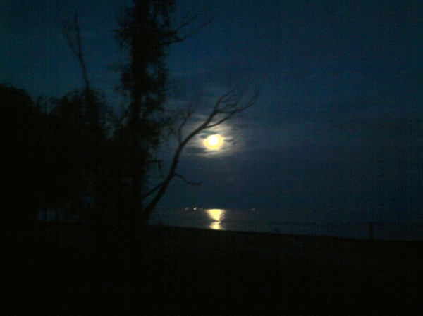 Moon path - My, moon, Sea, , Novoazovsk, Azov sea