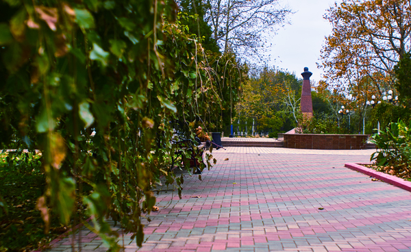 A little pre-winter color. - My, The photo, Kerch, Photo, Autumn, Pentax, Soviet optics