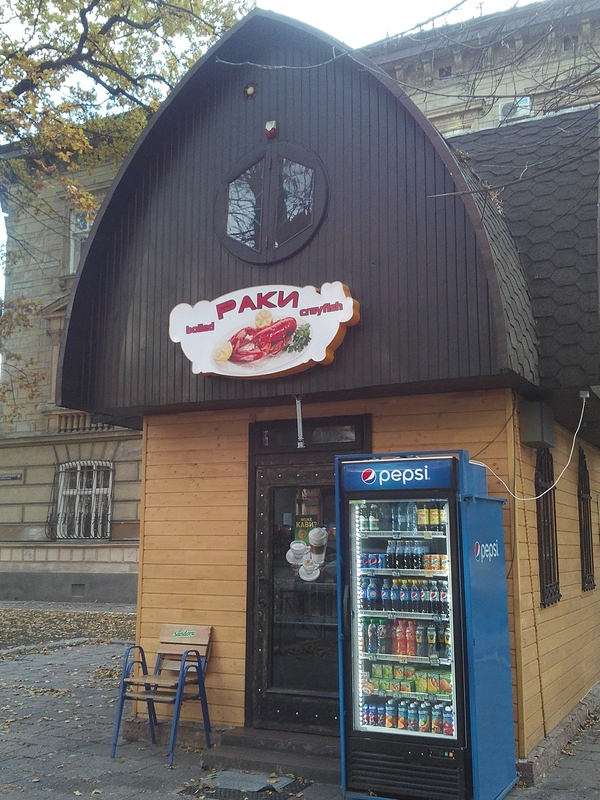 ���� ���� ���������