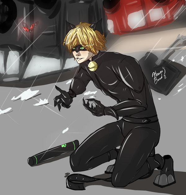  . , , , Anime Art,    -, Chat Noir, SAI, -