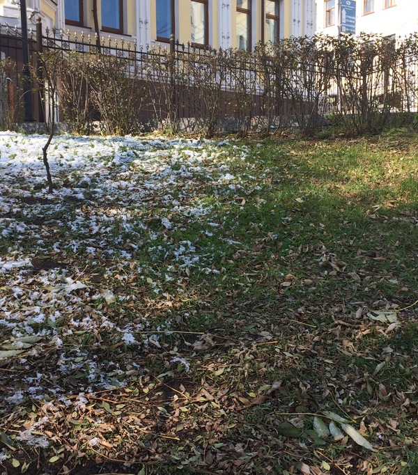 Autumn and winter - Vladivostok, Snow, Winter, Greenery