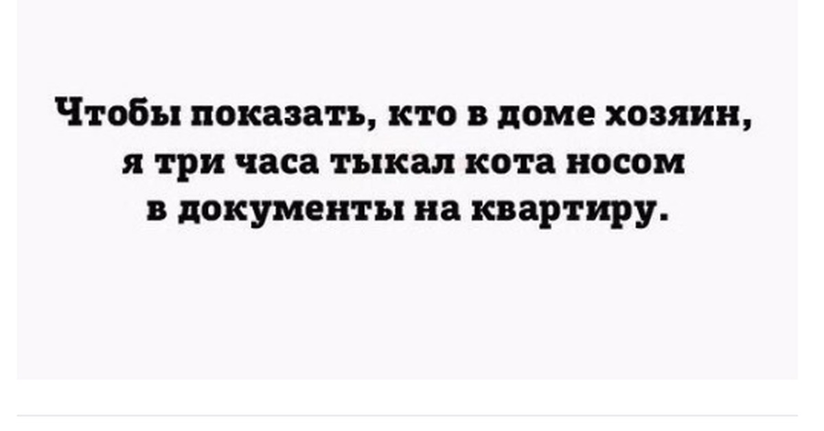 Покажи ей кто в доме хозяин. Я В доме хозяин. Тыкал кота носом в документы на квартиру. Чтобы доказать кто в доме хозяин. Щас я покажу кто в доме хозяин.