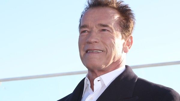 Director of Viya-2: Schwarzenegger loves Russia and was delighted with our proposal - Actors and actresses, Viy, Movies, Arnold Schwarzenegger