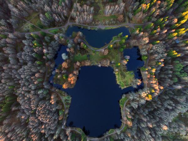 Shuvalovsky Park, St. Petersburg... - Russia, Saint Petersburg, Pargolovo, Shuvalovsky Park, Pond, Bird's-eye, Photo, View from above