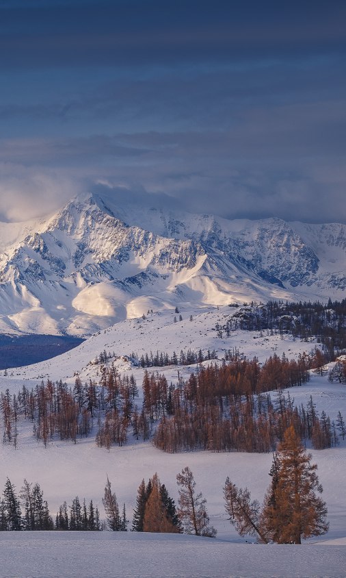 North Chuysky Range, Kurai, Altai - Altai, Kuray, The mountains, Severo-Chui Range, Longpost, Altai Republic