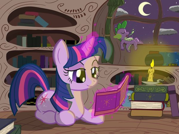 Twilight Library Night Reading