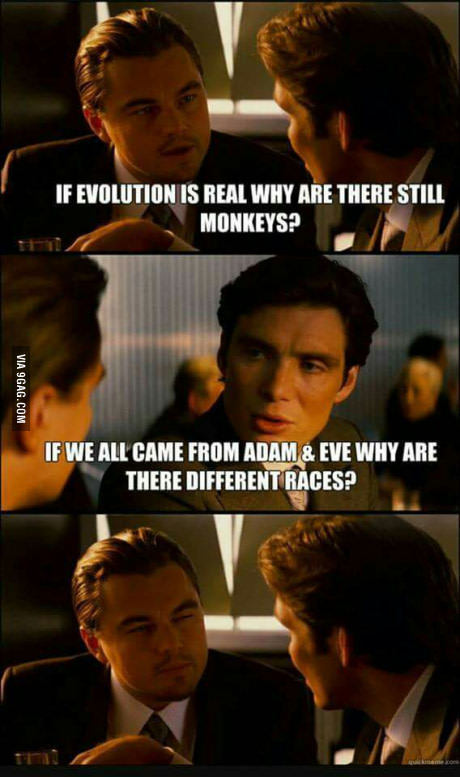 А был ли Дарвин?