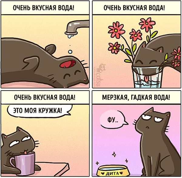 Снова о котах - Кот, Комиксы, Длиннопост, Catsu