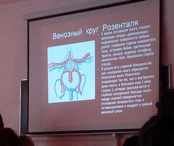 Medical school is romantic. - My, Romance, Heart, Medical, Lecture, Neurology