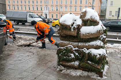 In a Moscow courtyard, a rolled lawn was laid on the snow. Out, gentlemen. - Moscow, Landscaping, Lawn, Marasmus