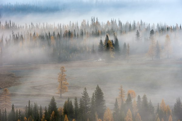 Курайская степь Курайская степь, Республика Алтай, Россия, Фото, Природа, Пейзаж, Надо съездить, Туман, Длиннопост