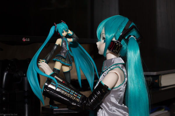   #16 Dollfiedream, Hatsune Miku, , , , , 