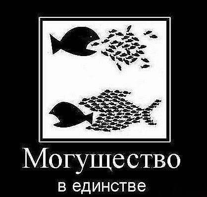 В Госдуме началась разработка закона о российской нации - Политика, Одна страна, Один народ, Новая национальная идея, Единство, Длиннопост, Страны