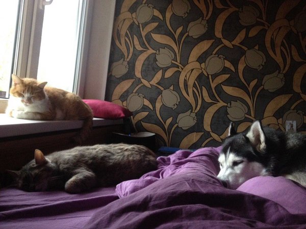 Когда до будильника не дотянуться