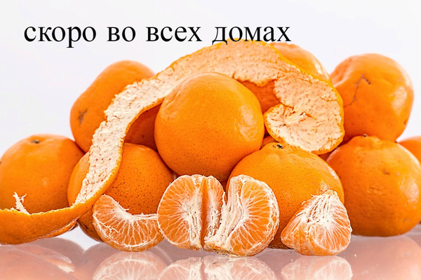 Soon in all houses - My, Tangerines, House, Holidays