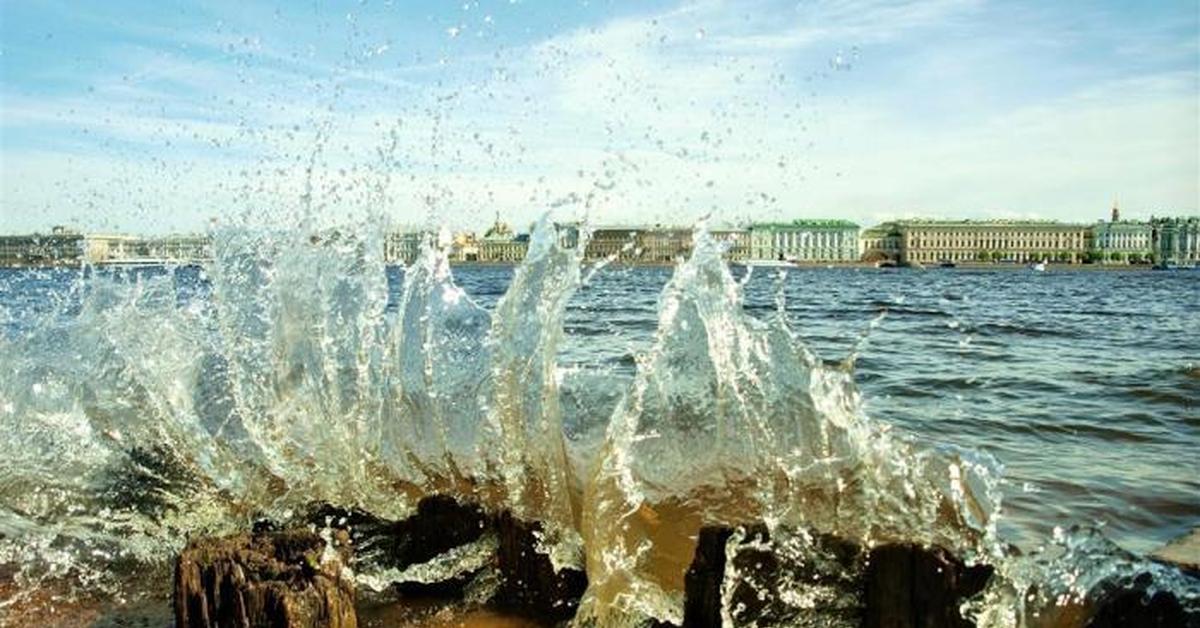 Вода санкт петербург. Река Нева. Нева и Балтийское море. Море в Питере. Вода Нева.