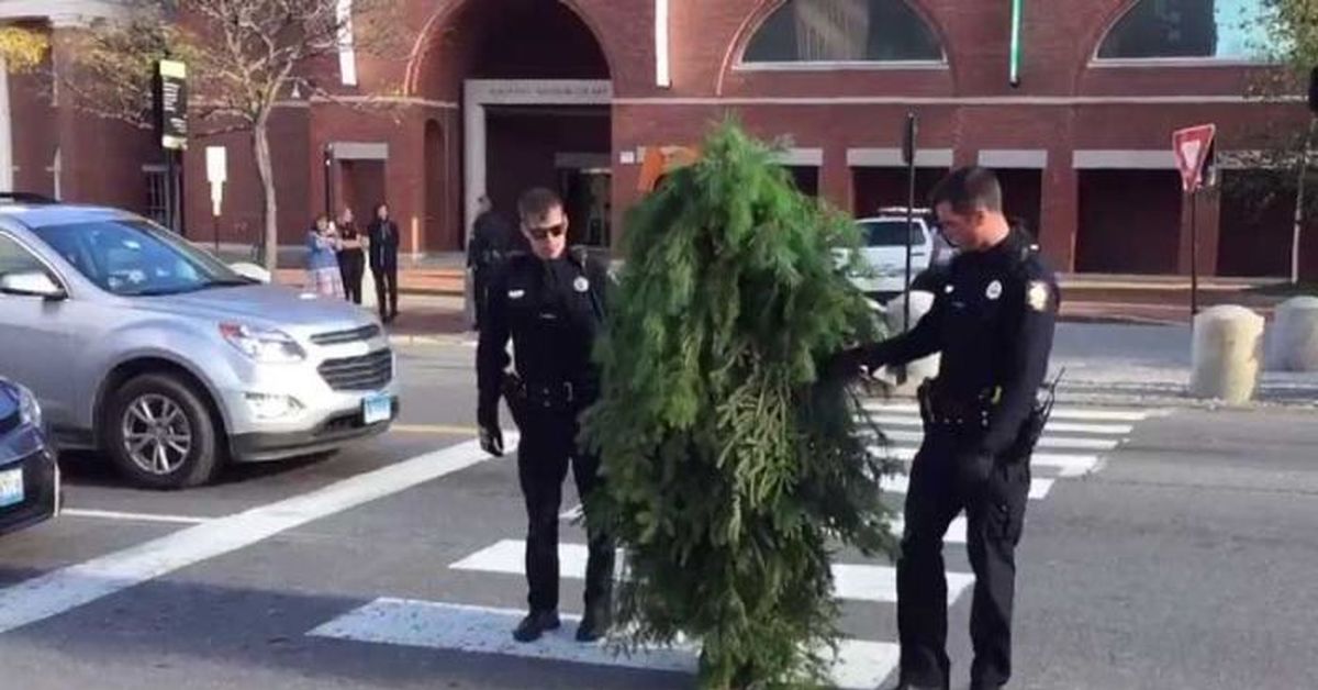 Кустов задержан. Смешные задержания полиции. Задержание преступника в лесу. Кустов задержан. Задержанный закладчик.