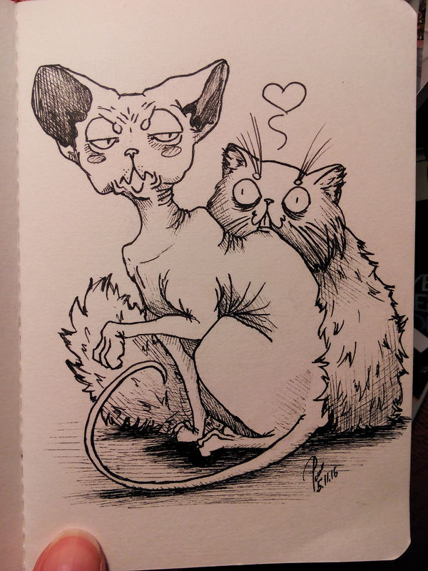 Smack - My, Drawing, Art, Creation, 1page1day, cat, Sphinx, Persian, Love