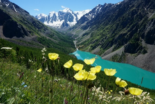 Where in Russia to go for the most vivid impressions - My, Tourism, Altai, Russia, Longpost, Altai Republic