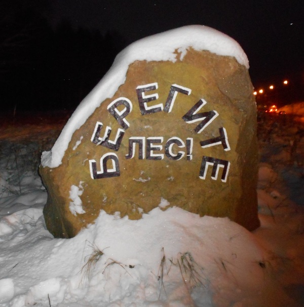 The stone speaks - My, Photo, A rock, Signs, Forest, The case speaks, Moscow region, Sergiev Posad