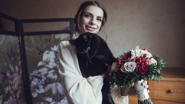 I'm not the groom! - My, cat, Wedding, Humor, Animals