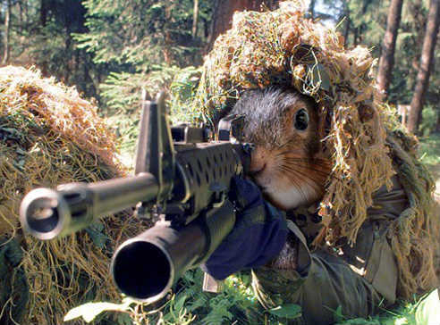 Sergeant Belochkin on guard - Squirrel, Camouflage, Weapon