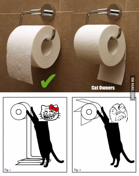 There are two types of people: with and without pets - 9GAG, Toilet paper, Zhzdryts