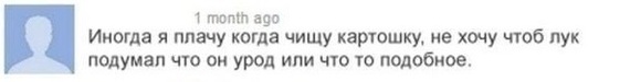 Вот бы всем нам быть такими добрыми, как этот комментатор...) - Комментарии, Лук, Уважение, Картофель, Скриншот, Доброта