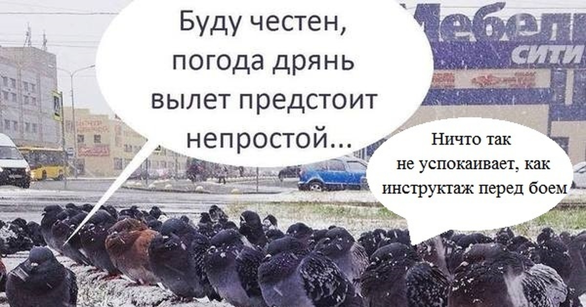 Погода дрянь картинки