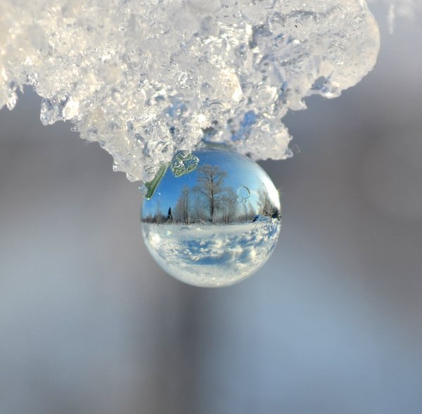 Winter in a small world - My, Winter, Snow, Photo, Macro, My, Macro photography