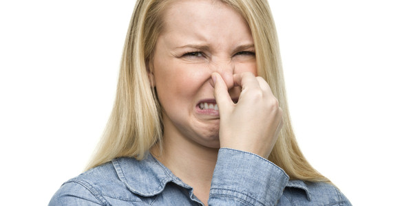 Scientists have figured out how to erase an unpleasant smell - My, Scientists, Smell