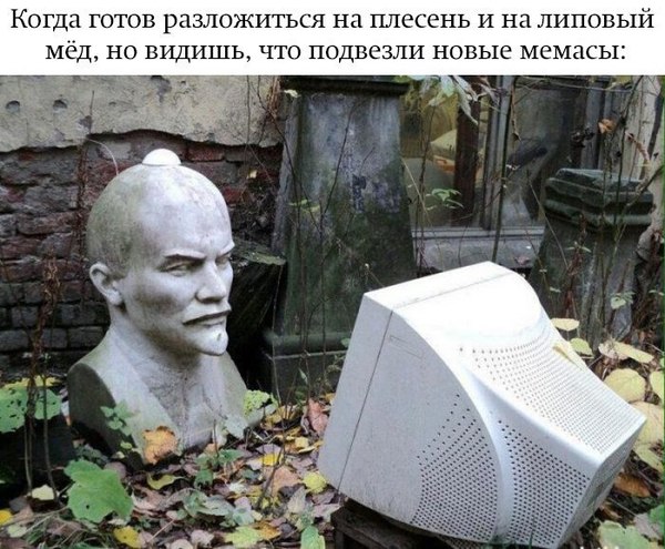 Grandpa Lenin - Lenin, Egor Letov, civil defense, Memes, And everything is going according to plan.