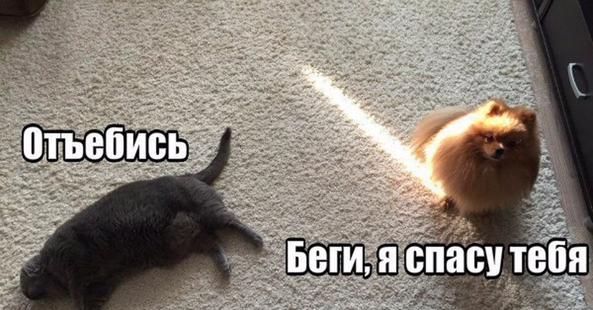 Спешу На Помощь Картинки