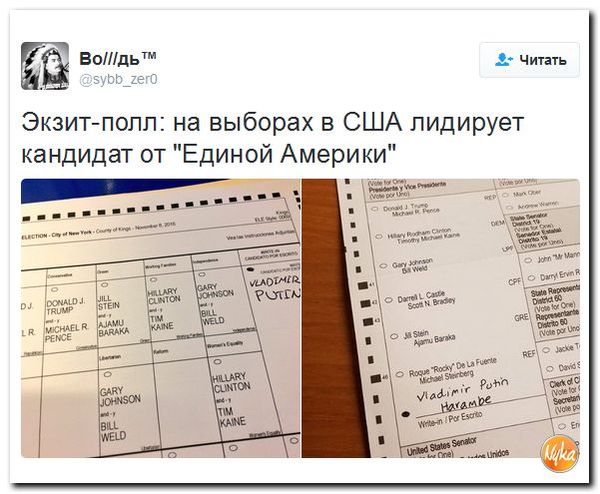 Независимый кандидат - Политика, Twitter, США, Россия, Владимир Путин, Выборы США