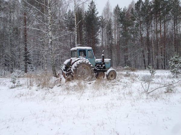 Winter landscape. - My, Tractor, Winter, Forest