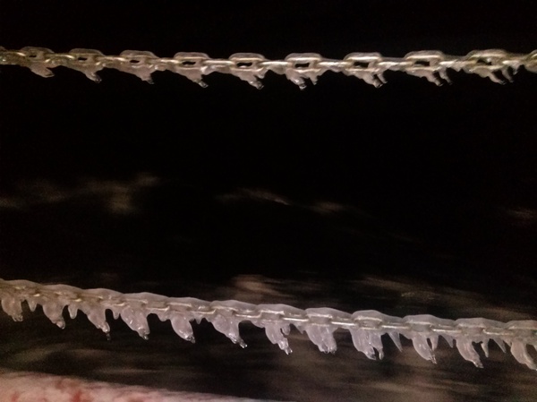 �����������.