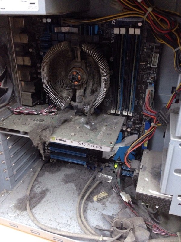 ���� �� ������� �����������, �������� ���.