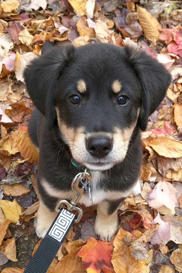 Посмотри мне в глаза ...