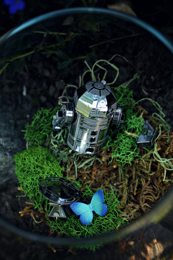 Terrariums based on Star Wars - Star Wars, Terrarium, Terrariumistics, Yoda, Ewoks, Moss, Longpost