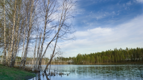 Izyary in spring - My, Chuvashia, Cheboksary, Landscape, Sony, Lake, Spring, Birch, Longpost