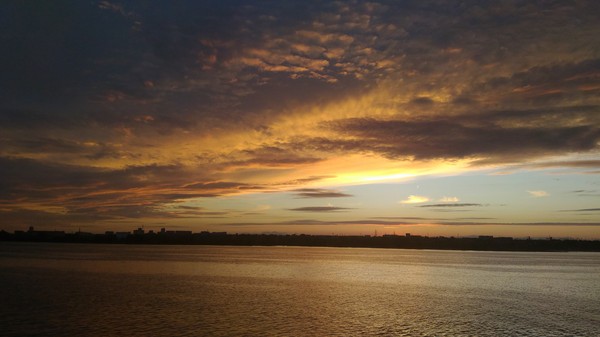 �����-�������