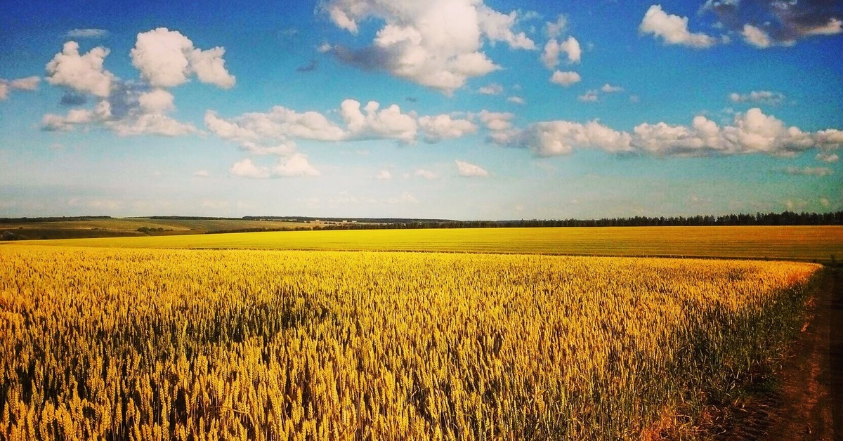 Зной. Летний зной. Лето жара зной пейзаж. Летний зной фото. Климат Украины фото.