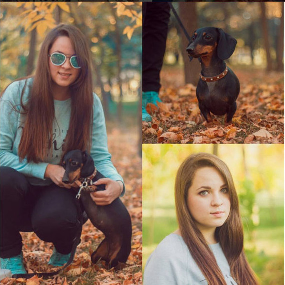 Nora - monster dog or what are dachshunds (part 3) - My, Dachshund, Dog, Puppies, Almaty, Kazakhstan, My, Longpost