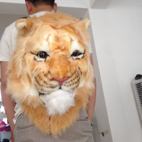 Your face when you are a majestic animal and they made a backpack out of you - Backpack, a lion, AliExpress, Resentment