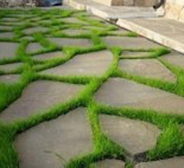 Super shape for a garden path. - Text, Longpost, A life, Dacha, Building, Russia