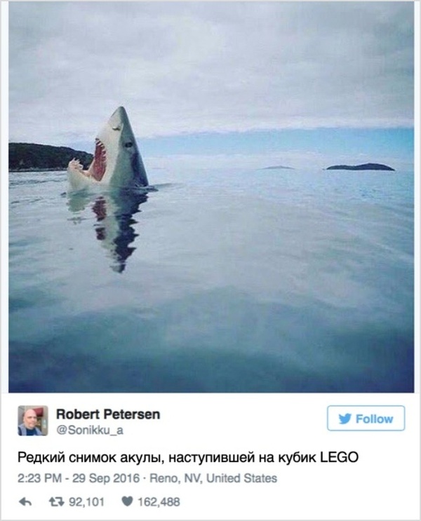 A comment - Shark, Lego, Pain, Comments