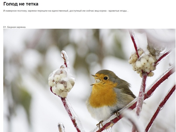 ������� ����, �������� ��� �����