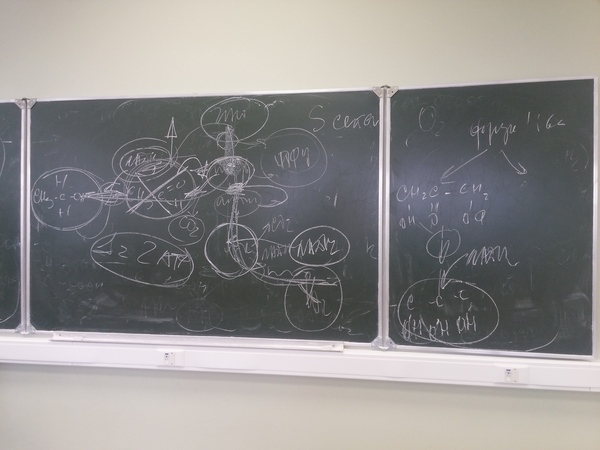 Доступность информации: уровень "Бог"