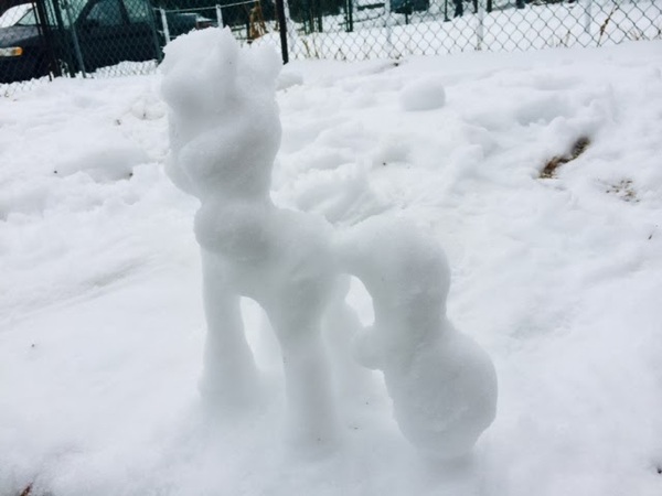 Snow pony , , My Little Pony